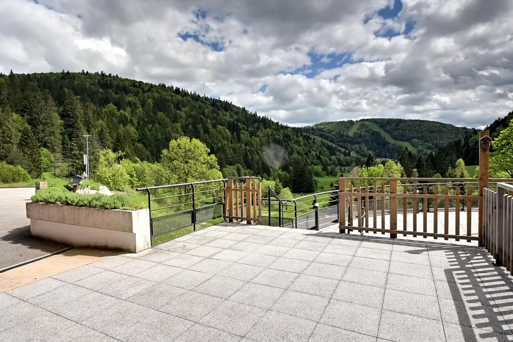 Апартаменты La Ligne Bleue Des Vosges - Appt Proche Des Pistes Ла-Бресс Экстерьер фото